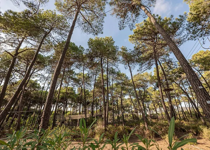 Διαμέρισμα Beautiful Just 5 Minutes From The